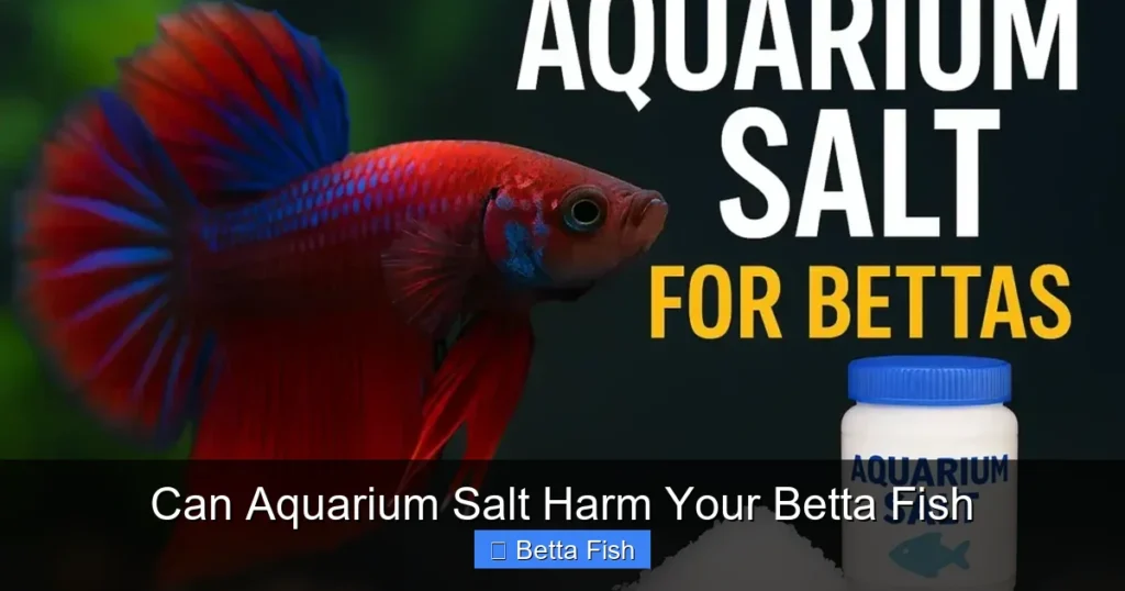 Can Aquarium Salt Harm Your Betta Fish