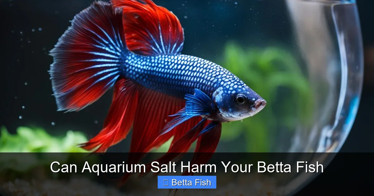 Can Aquarium Salt Harm Your Betta Fish