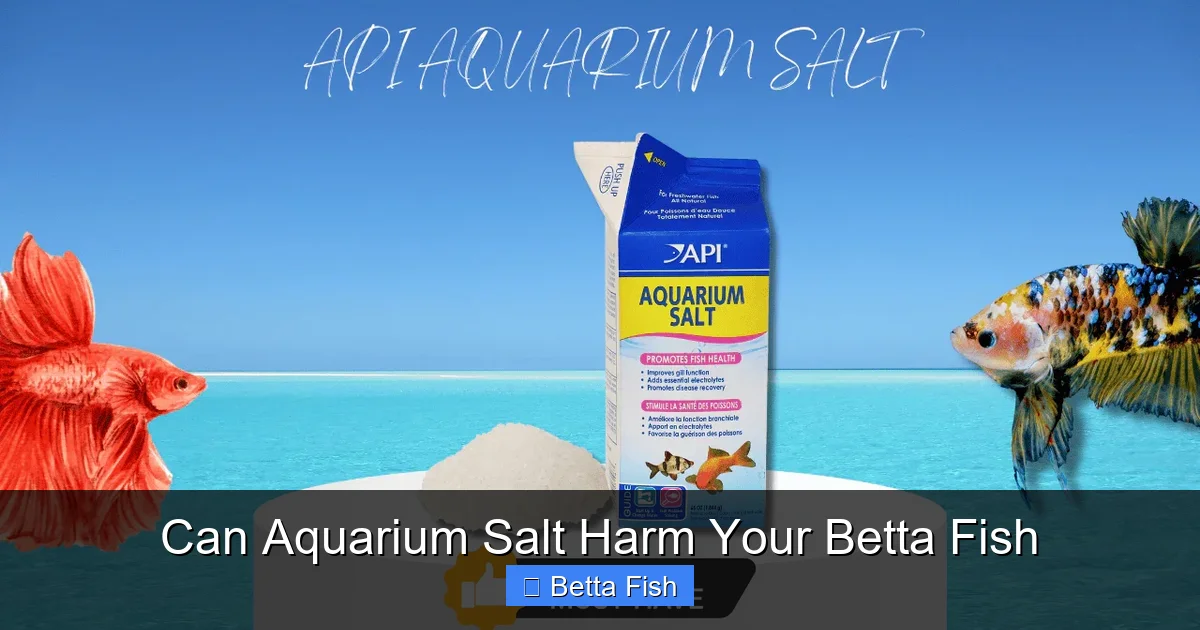 Can Aquarium Salt Harm Your Betta Fish