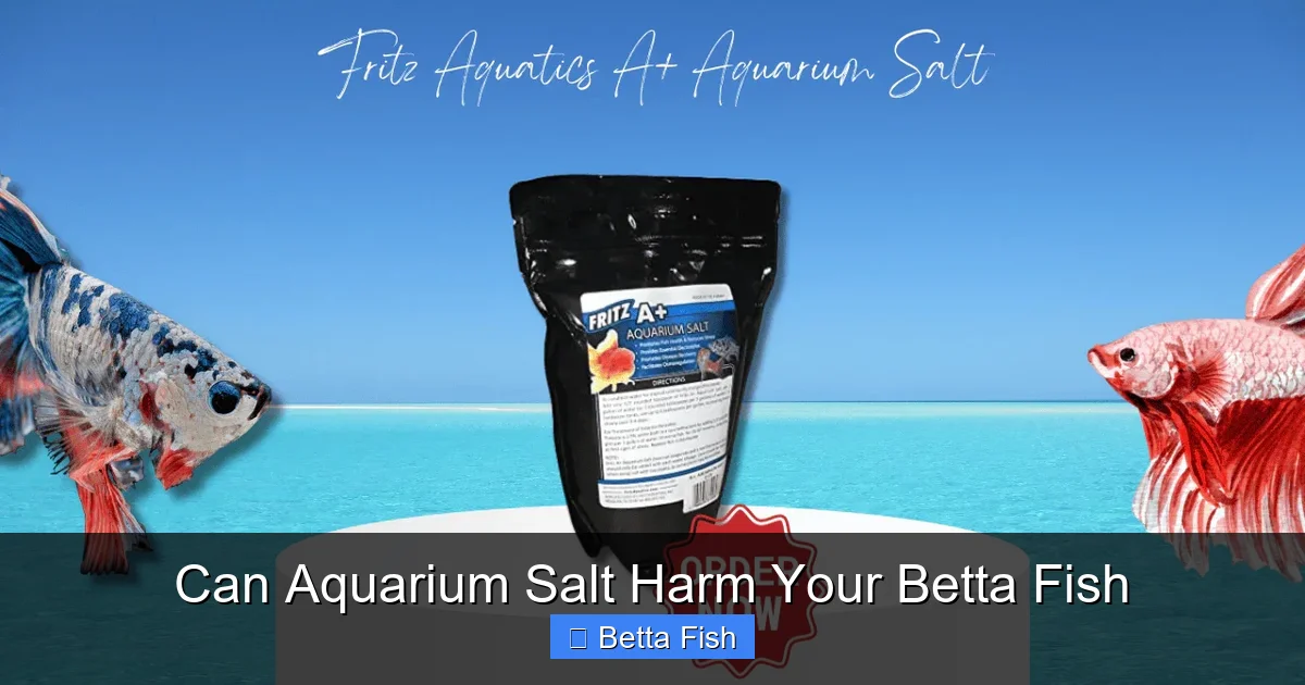 Can Aquarium Salt Harm Your Betta Fish