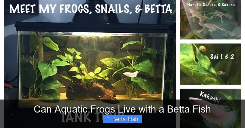 Can Aquatic Frogs Live with a Betta Fish