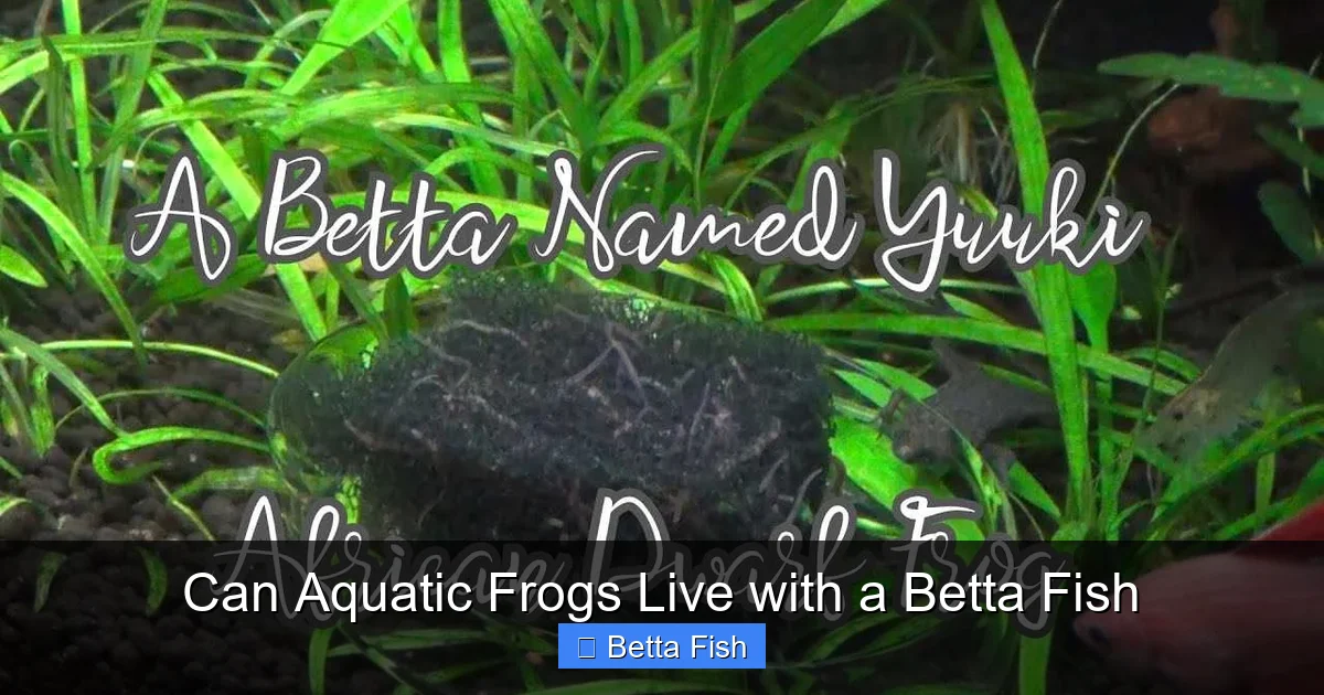 Can Aquatic Frogs Live with a Betta Fish