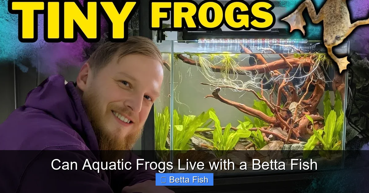 Can Aquatic Frogs Live with a Betta Fish