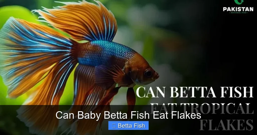 Can Baby Betta Fish Eat Flakes