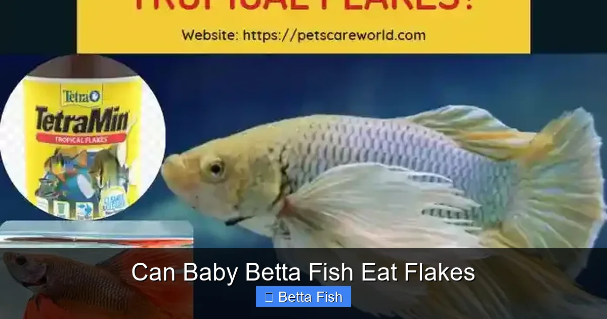 Can Baby Betta Fish Eat Flakes