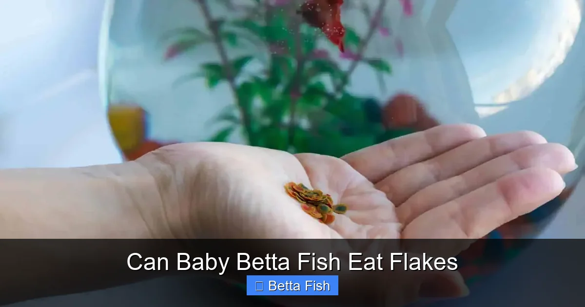 Can Baby Betta Fish Eat Flakes