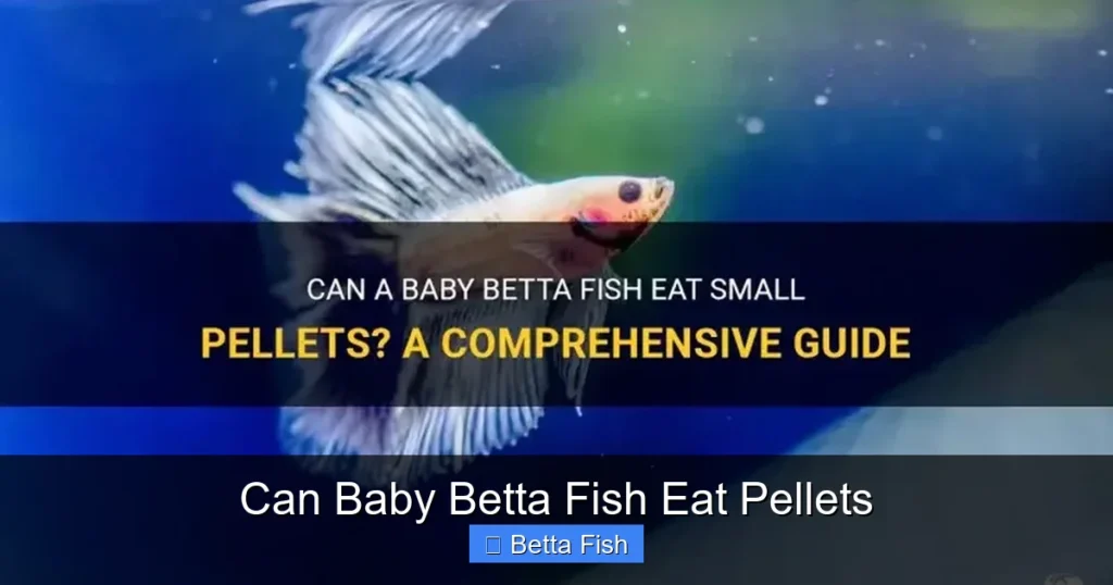 Can Baby Betta Fish Eat Pellets
