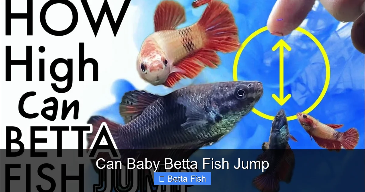 Can Baby Betta Fish Jump