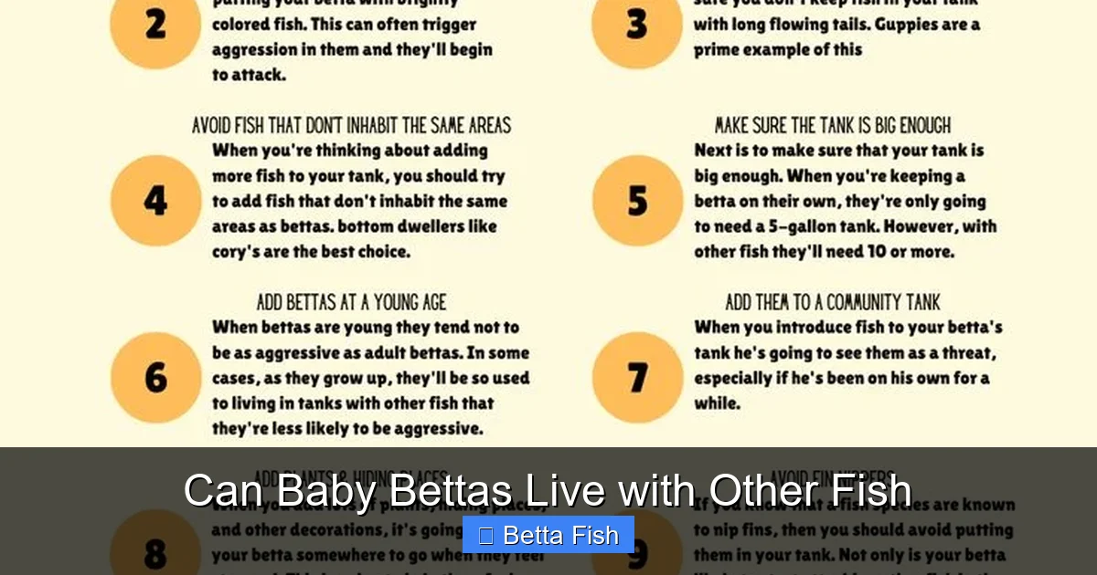 Can Baby Bettas Live with Other Fish