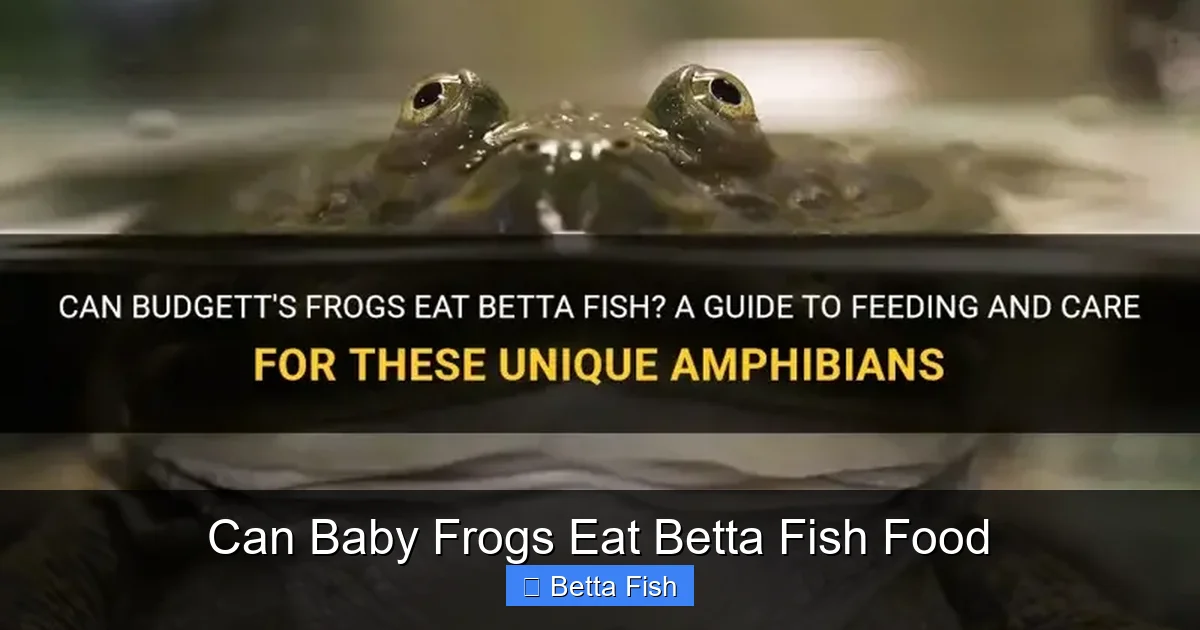 Can Baby Frogs Eat Betta Fish Food