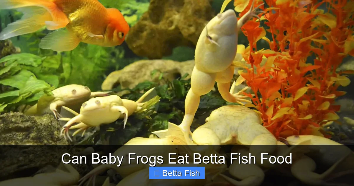 Can Baby Frogs Eat Betta Fish Food