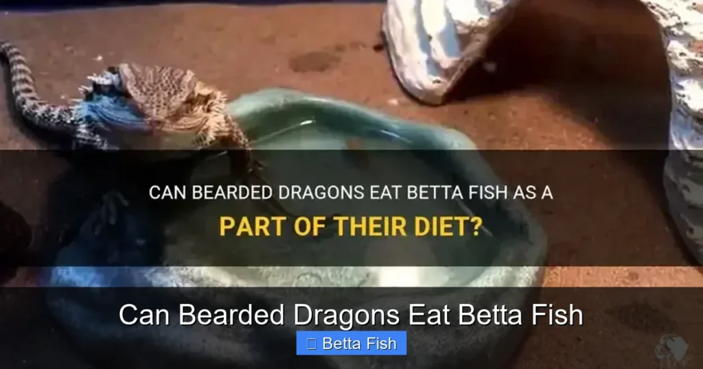 Can Bearded Dragons Eat Betta Fish