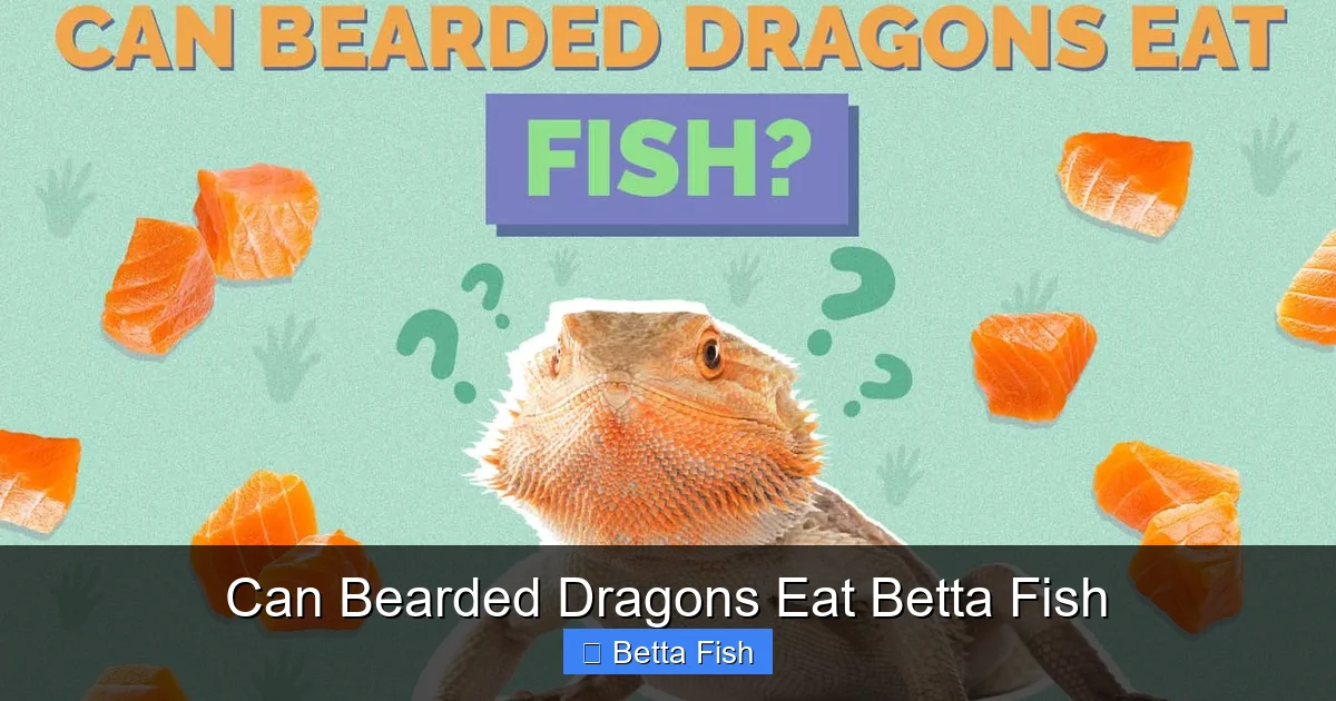Can Bearded Dragons Eat Betta Fish