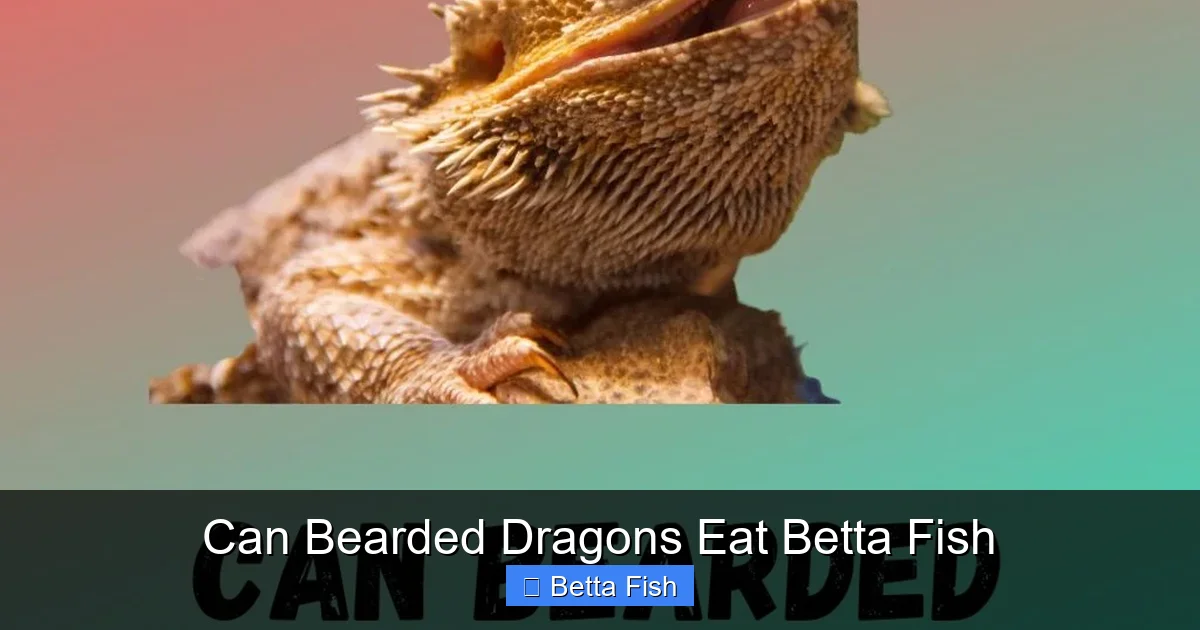 Can Bearded Dragons Eat Betta Fish