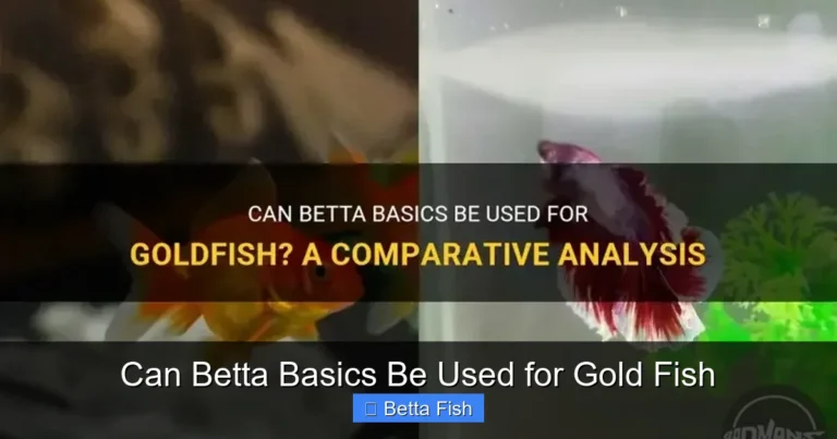 Can Betta Basics Be Used for Gold Fish