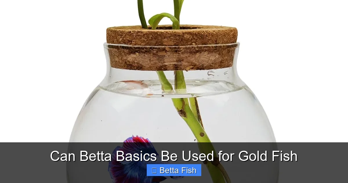 Can Betta Basics Be Used for Gold Fish