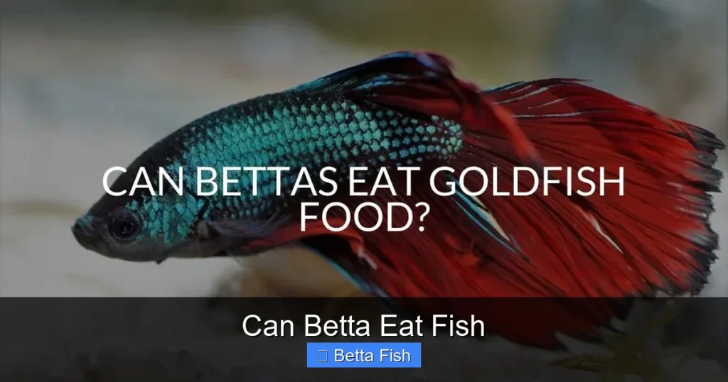 Can Betta Eat Fish