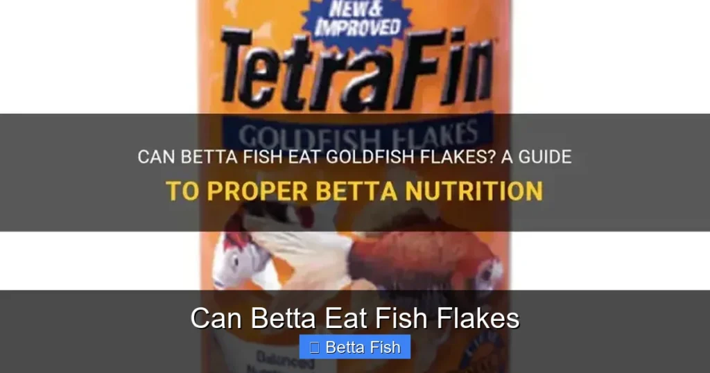 Can Betta Eat Fish Flakes