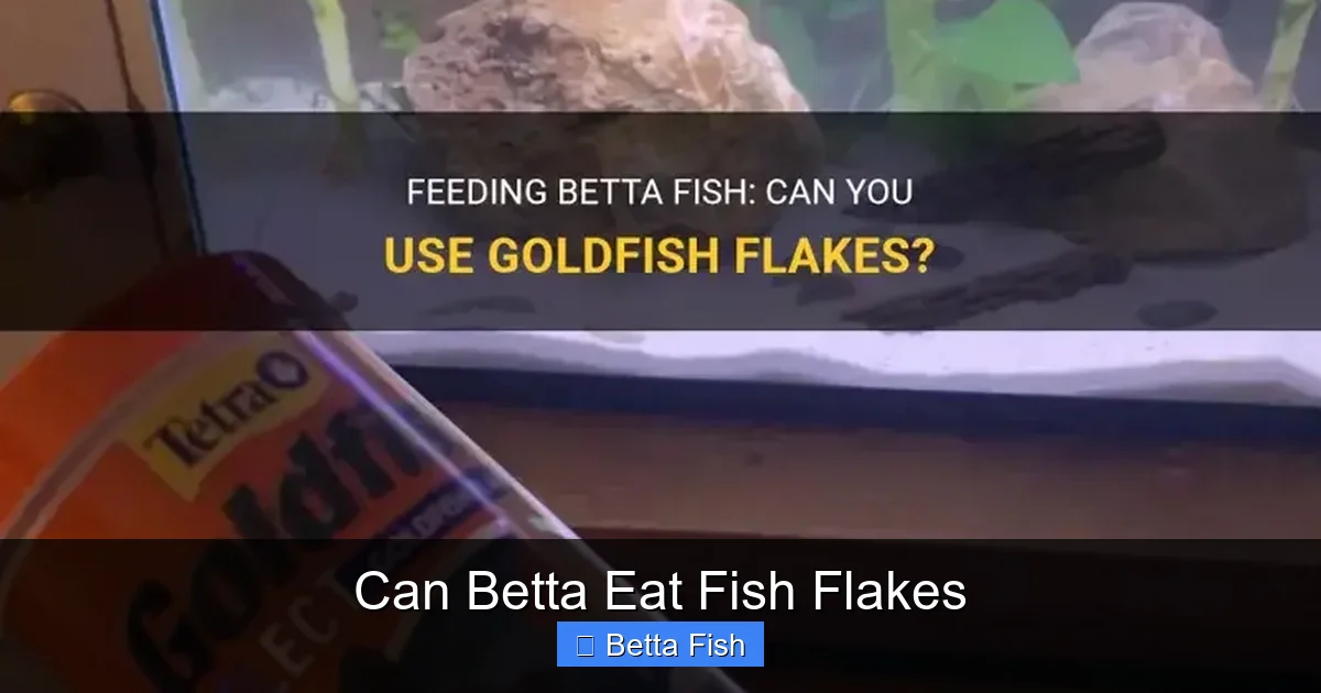 Can Betta Eat Fish Flakes