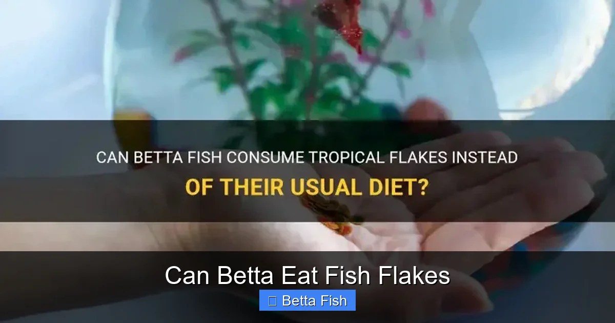 Can Betta Eat Fish Flakes
