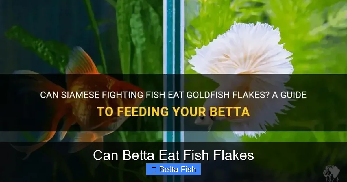 Can Betta Eat Fish Flakes