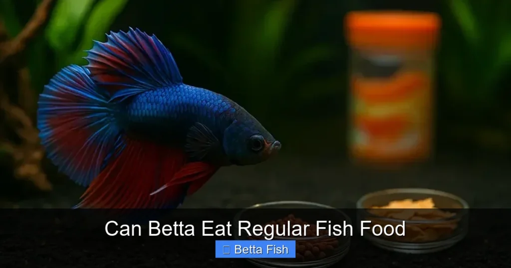 Can Betta Eat Regular Fish Food