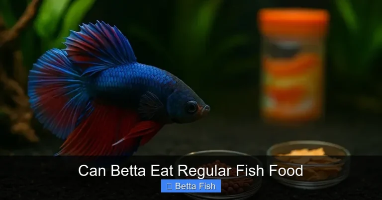 Can Betta Eat Regular Fish Food
