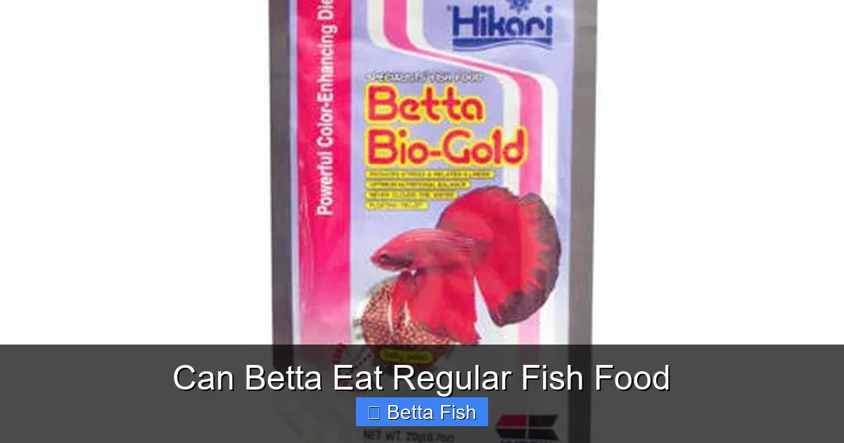 Can Betta Eat Regular Fish Food