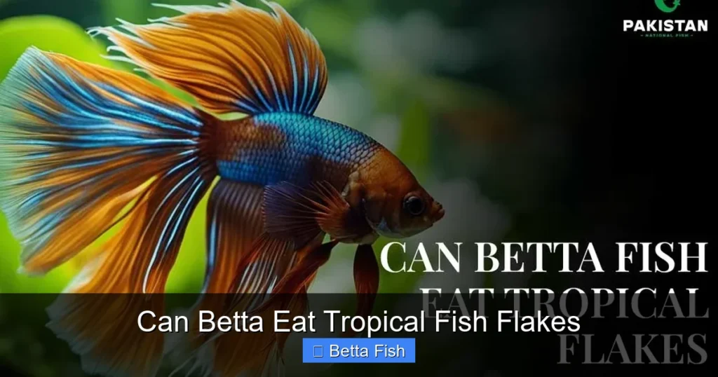 Can Betta Eat Tropical Fish Flakes