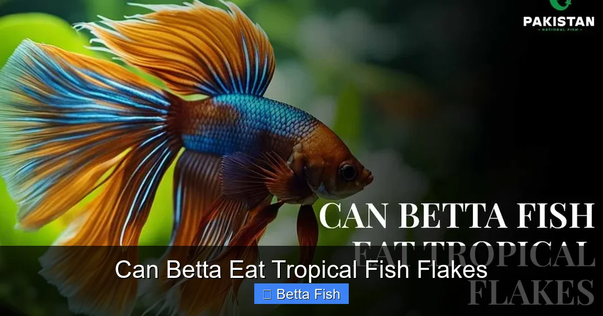 Can Betta Eat Tropical Fish Flakes