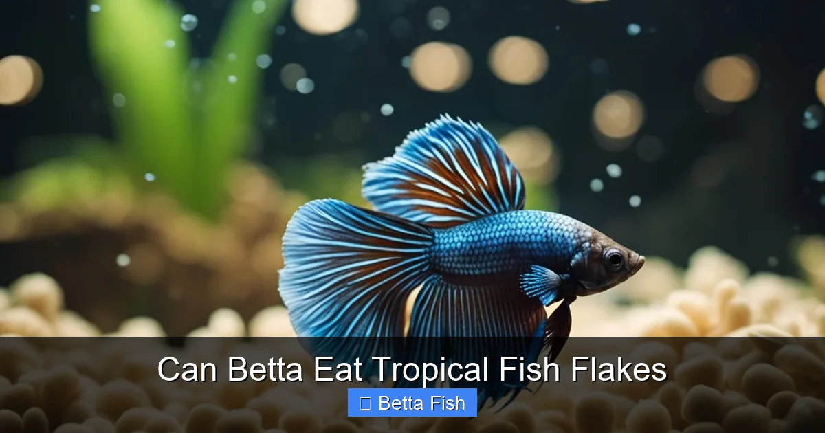 Can Betta Eat Tropical Fish Flakes