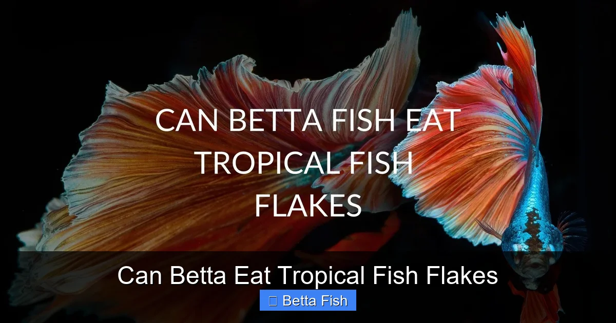 Can Betta Eat Tropical Fish Flakes