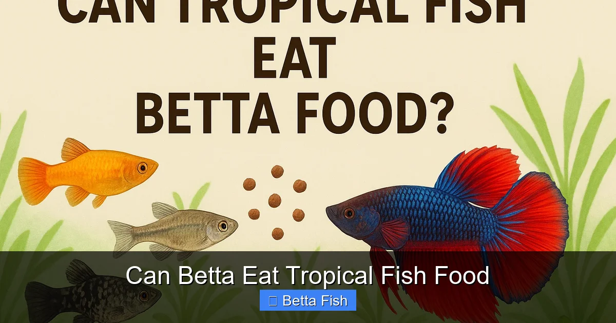 Can Betta Eat Tropical Fish Food