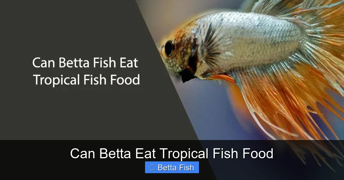 Can Betta Eat Tropical Fish Food