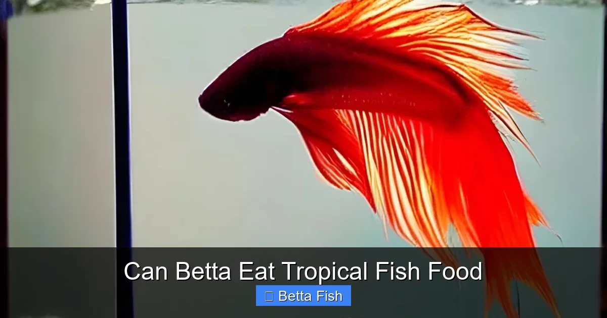 Can Betta Eat Tropical Fish Food