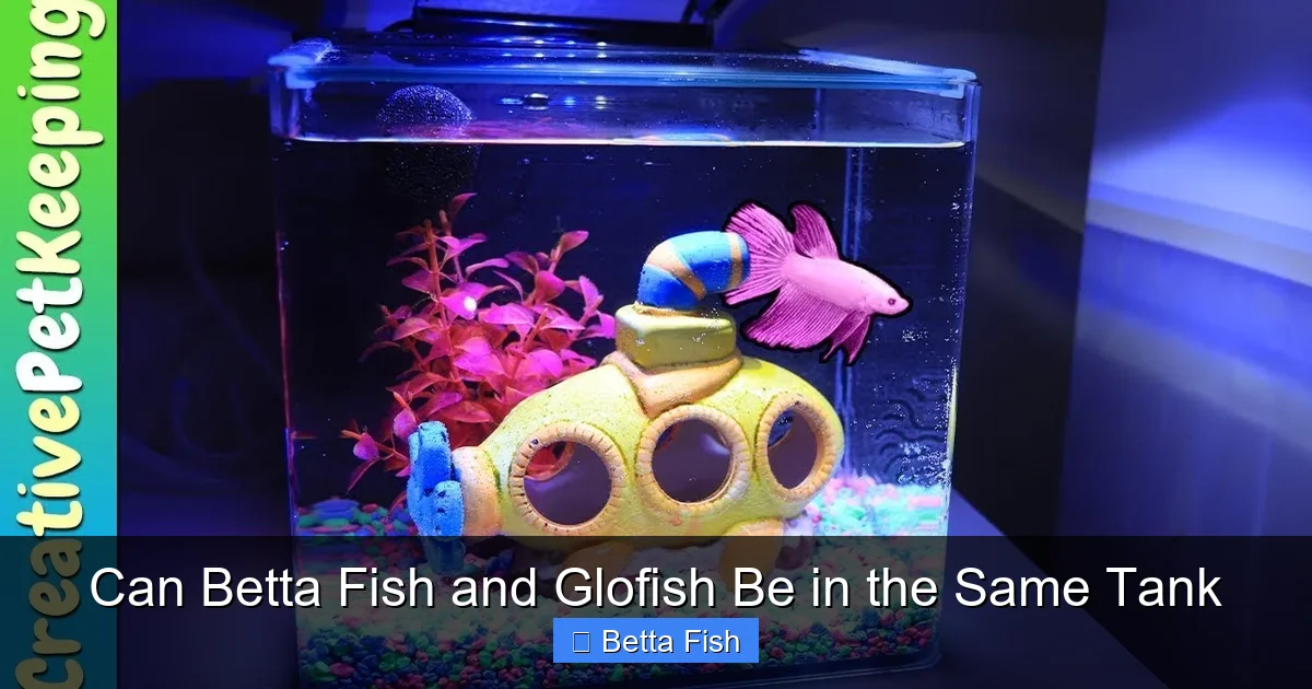 Can Betta Fish and Glofish Be in the Same Tank