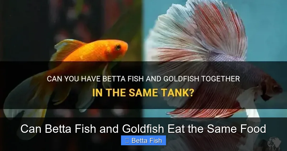 Can Betta Fish and Goldfish Eat the Same Food