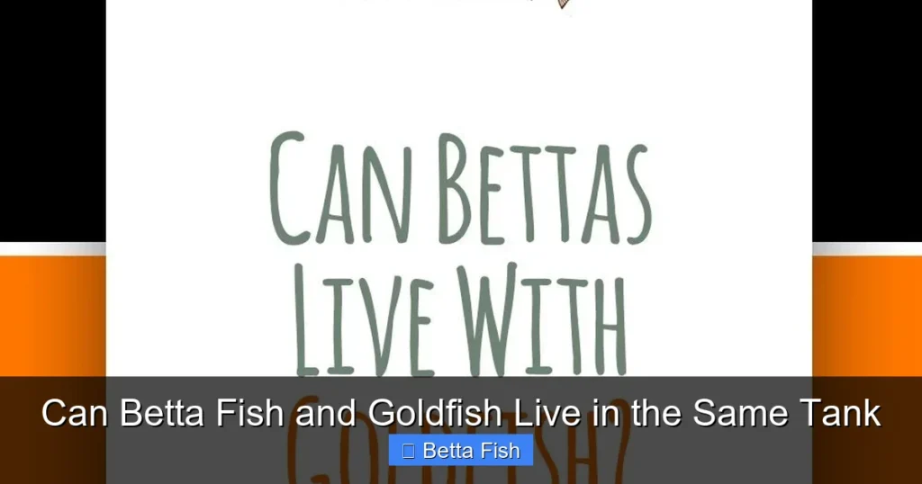 Can Betta Fish and Goldfish Live in the Same Tank