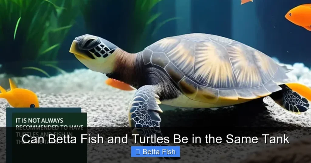 Can Betta Fish and Turtles Be in the Same Tank