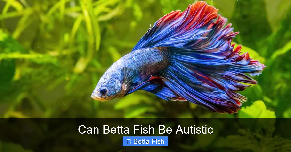 Can Betta Fish Be Autistic