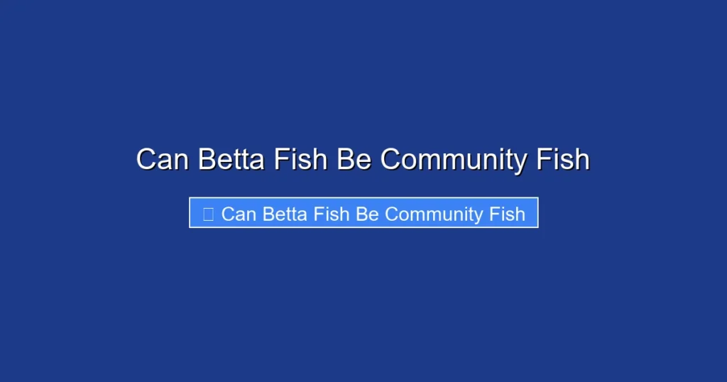 Can Betta Fish Be Community Fish