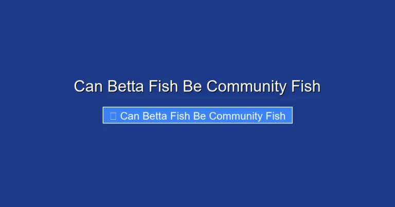 Can Betta Fish Be Community Fish