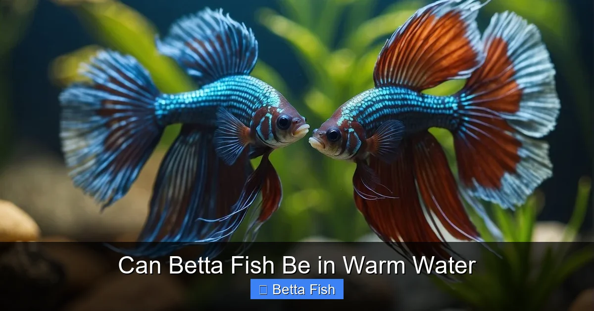 Can Betta Fish Be in Warm Water
