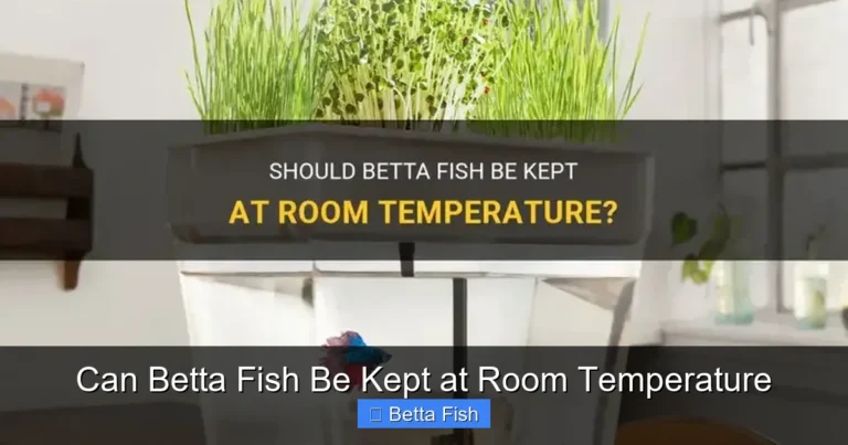 Can Betta Fish Be Kept at Room Temperature