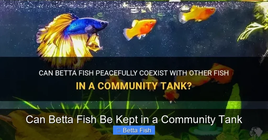 Can Betta Fish Be Kept in a Community Tank