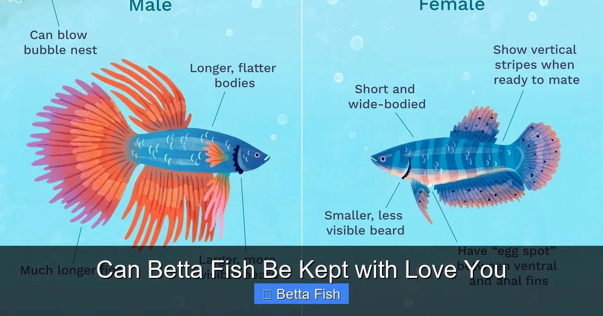 Can Betta Fish Be Kept with Love You