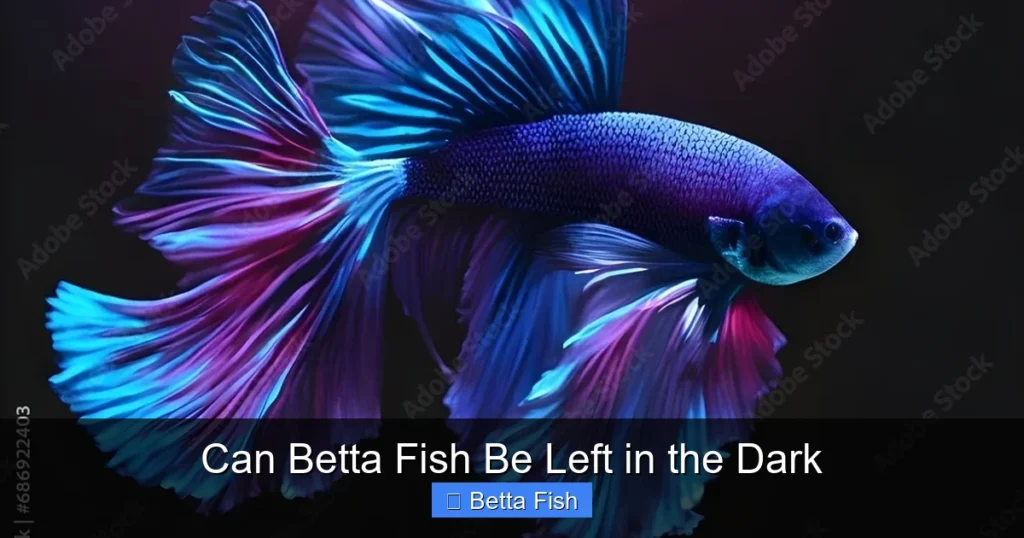 Can Betta Fish Be Left in the Dark