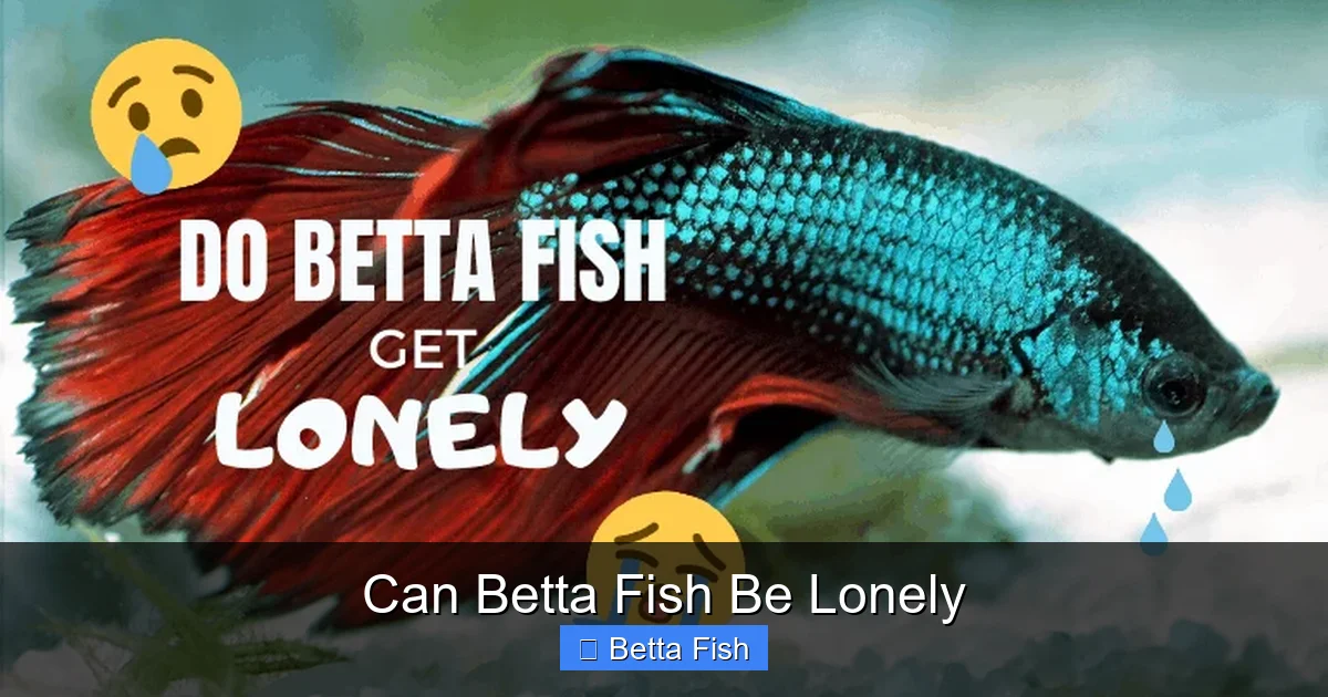 Can Betta Fish Be Lonely