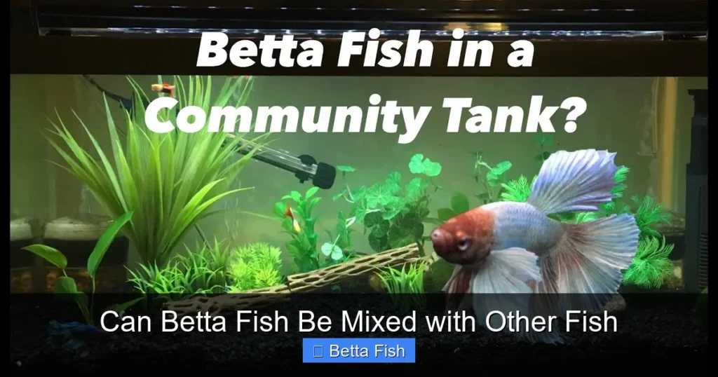 Can Betta Fish Be Mixed with Other Fish