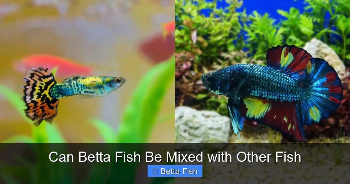 Can Betta Fish Be Mixed with Other Fish